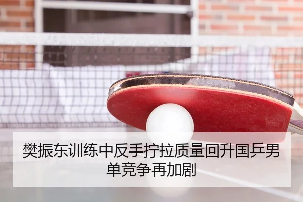 樊振东训练中反手拧拉质量回升国乒男单竞争再加剧