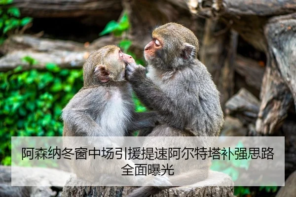 阿森纳冬窗中场引援提速阿尔特塔补强思路全面曝光